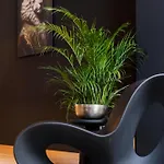 Zen By M דירה פרנקורשנס