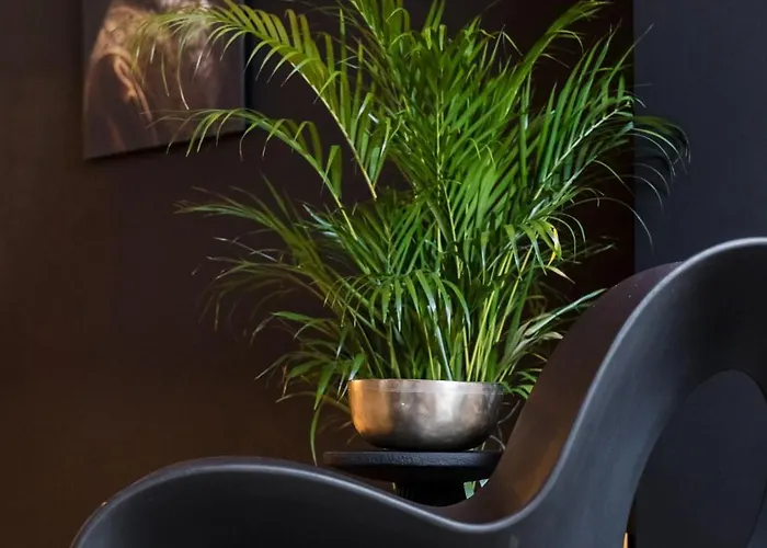 Zen By M Apartment Francorchamps